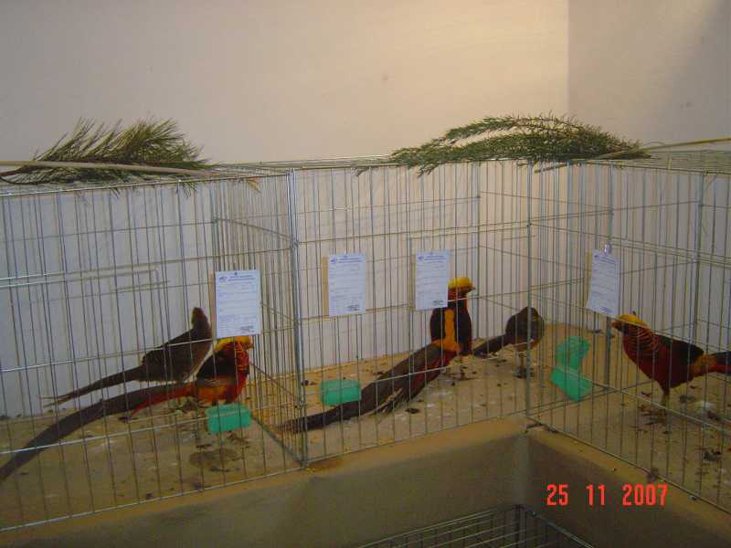 DSC05167.jpg