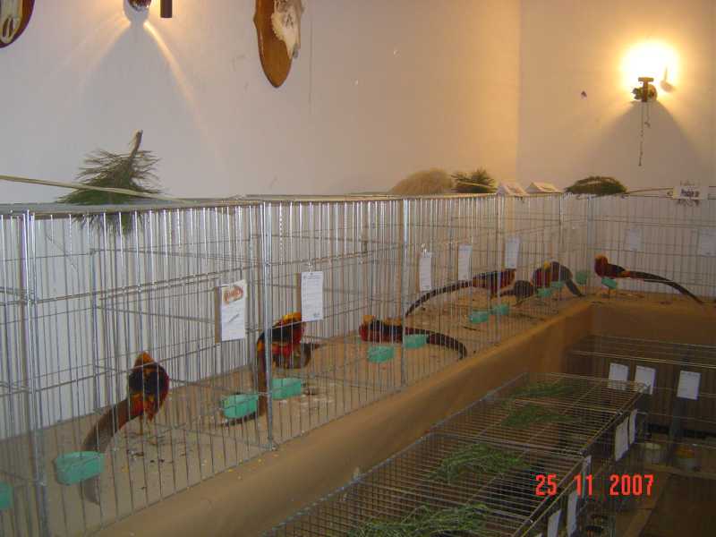 DSC05176.jpg