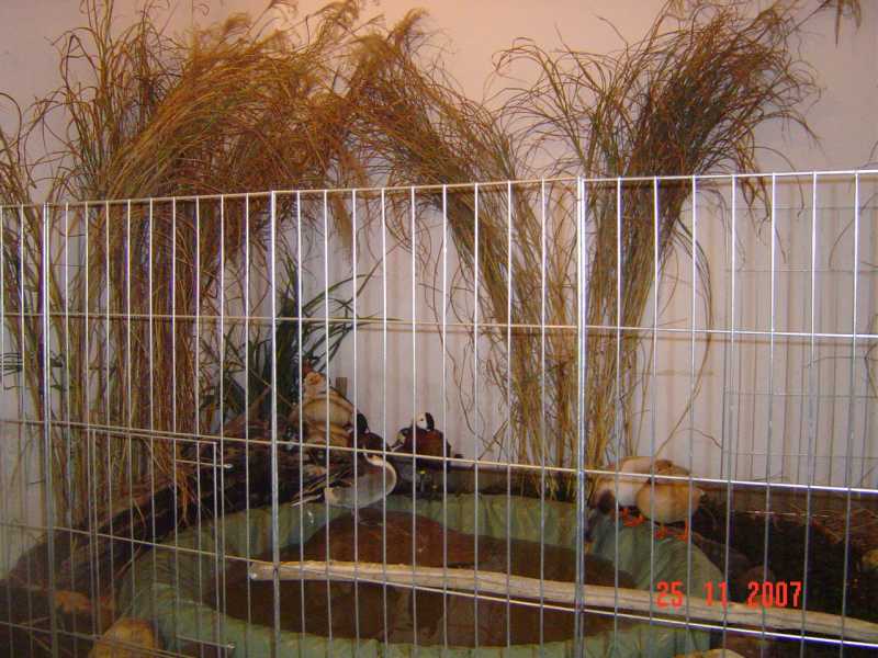 DSC05174.jpg