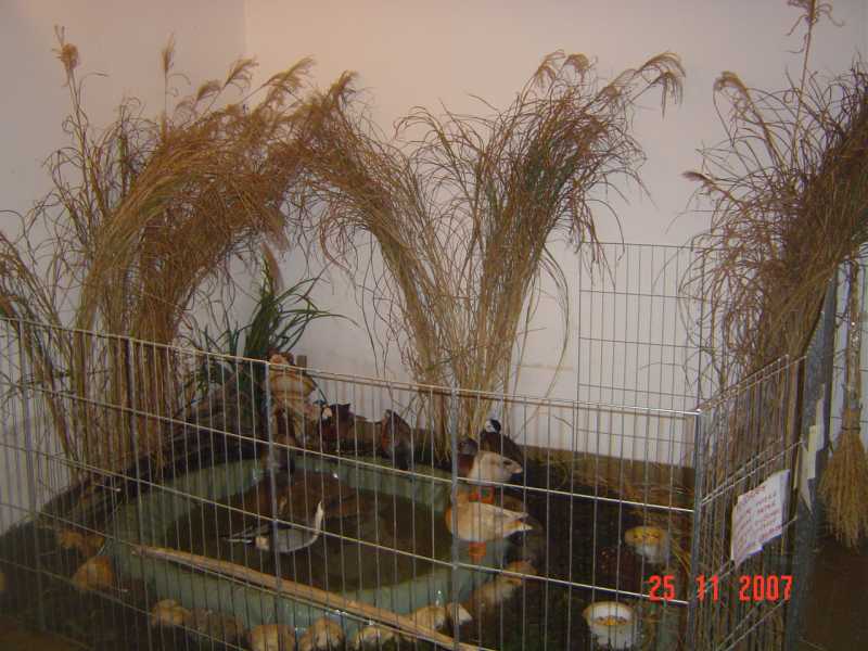 DSC05185.jpg