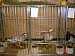Thumbnail of DSC05171.jpg