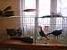 Thumbnail of DSC05173.jpg