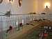 Thumbnail of DSC05176.jpg